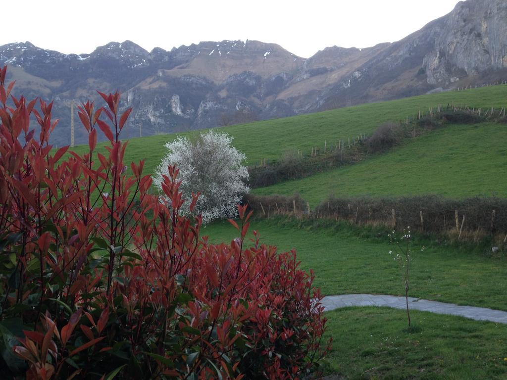 Azcárate Casa Rural Balerdi旅馆 外观 照片